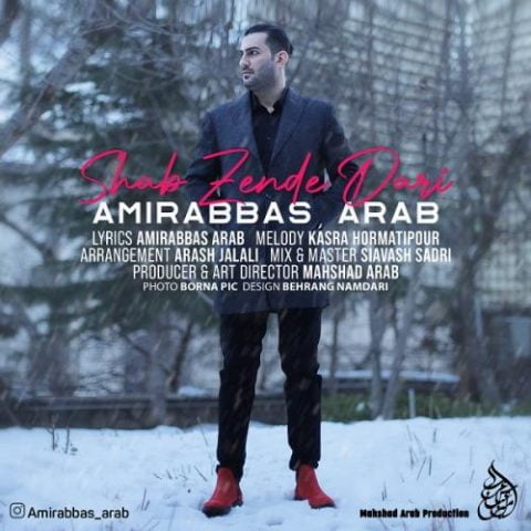دانلود آهنگ جدید امیرعباس عرب با عنوان شب زنده داری